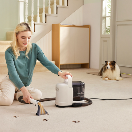 Collection image for: Carpet Cleaner